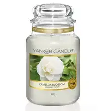 Camellia Blossom Candle - Scented candle