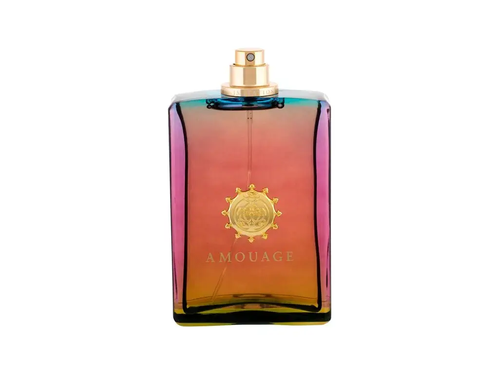 Amouage Imitation For Men Eau de Parfum 100 ml