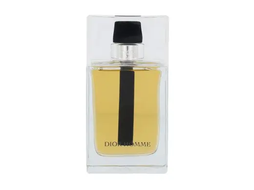 Dior Dior Homme 2011 Eau de Toilette 100 ml