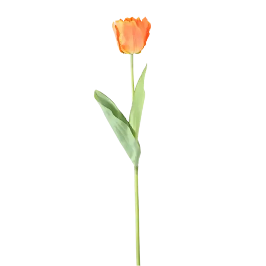 Mākslīgā Tulpe 60cm