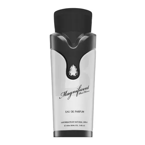 Armaf Magnificent Pour Homme parfimērijas ūdens vīriešiem 100 ml