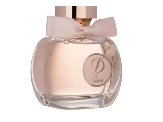 S.T. Dupont So Dupont Pour Femme Eau de Toilette 100 ml