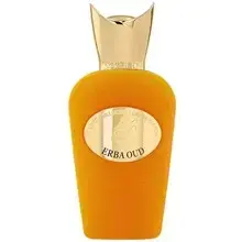 Lattafa Erba Oud (EDP) parfimērijas ūdens unisex 100 ml