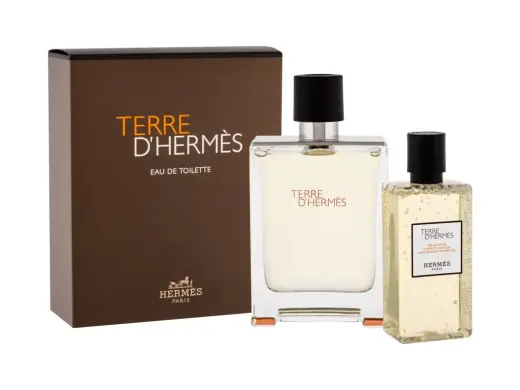 Hermes Terre d'Hermes Eau de Toilette 100 ml