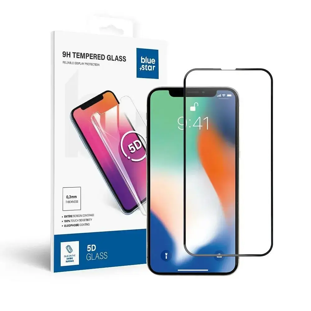 Tempered glass to iPhone X (full glue) Blue Star 5D black