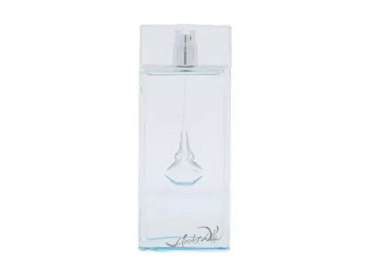 Salvador Dali Sea & Sun in Cadaques Eau de Toilette 100 ml