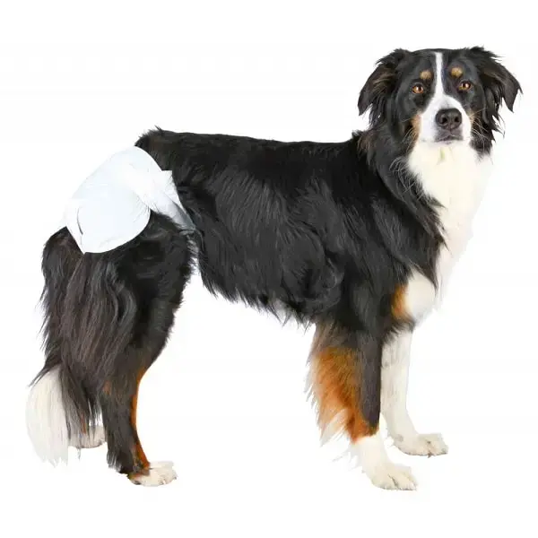 Autiņbiksītes suņiem - Trixie Diapers for dogs, M–L: 36–52 cm, 12 gab.