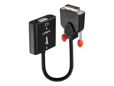 Lindy DVI adapter - 20 cm