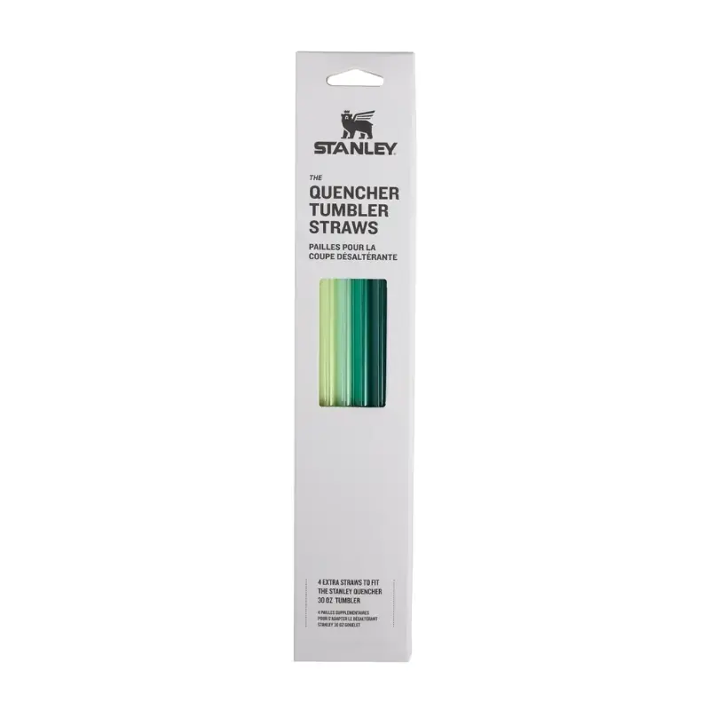 Straw set of 4 for thermo mugs The Quencher Travel Tumbler Straws 0.89L green