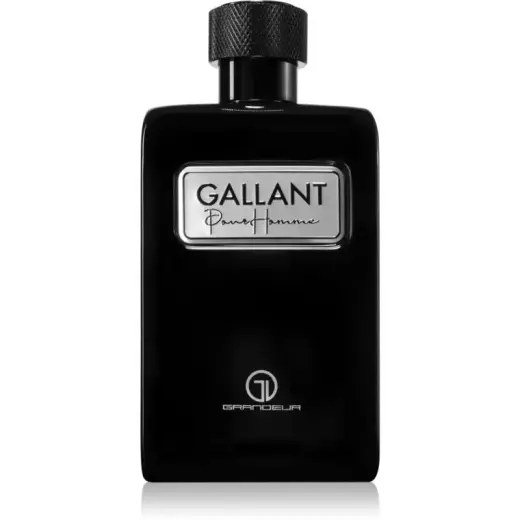 Grandeur Gallant (EDP) parfumuotas vanduo vyrams 100 ml