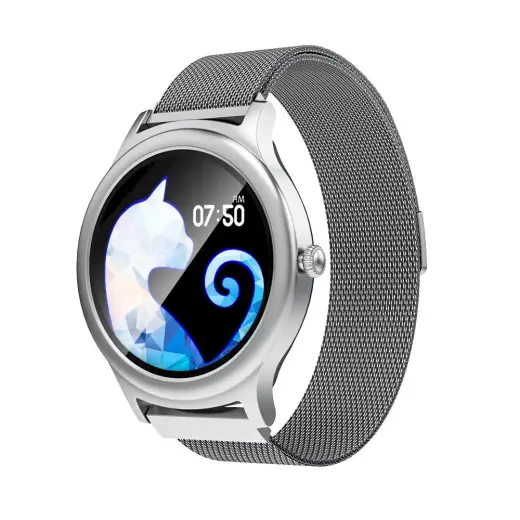 Smartwatch BlitzWolf BW-AH1 (silver)