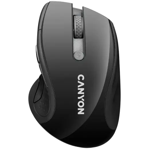 CNS-CMSW01B