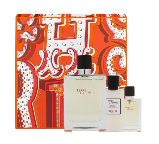 Hermes Terre d'Hermes Eau de Toilette 100 ml