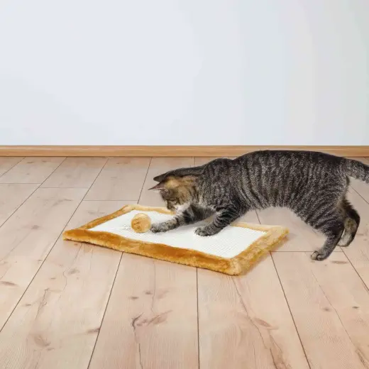 Nagu asināmais : Trixie  Scratching Mat 55*35cm, brown