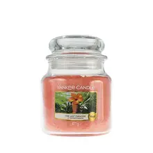 The Last Paradise Candle - Scented candle