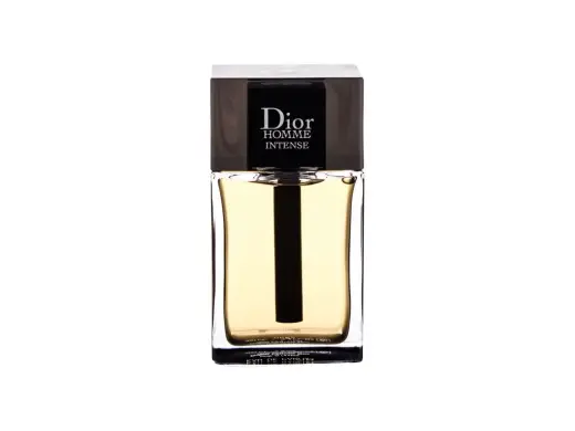 Dior Dior Homme Intense 2011 Eau de Parfum 100 ml