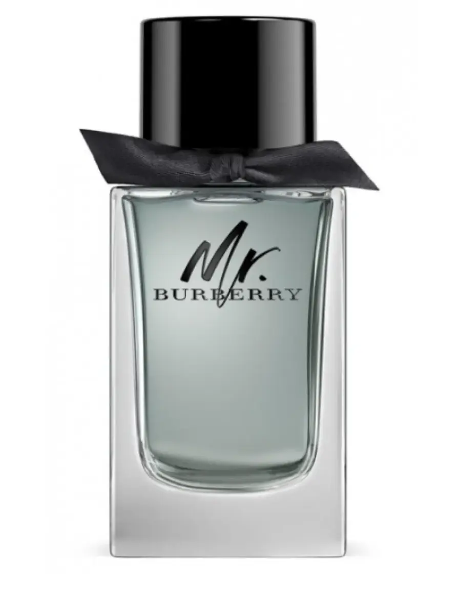 Burberry, Mr. Burberry, Eau De Toilette, For Men, 100 ml *Tester