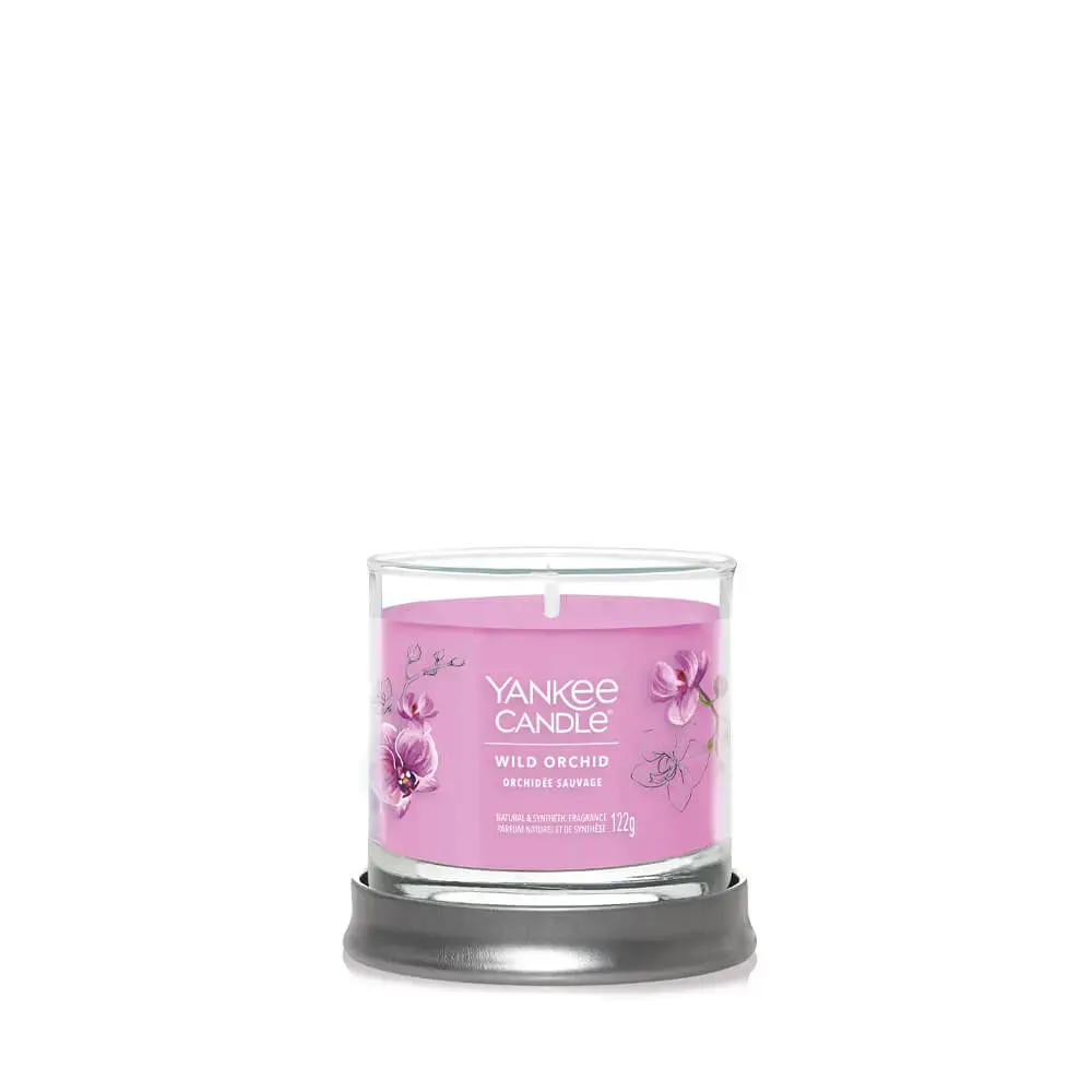Debenhams Signature Small Tumbler Wild Orchid in Pink