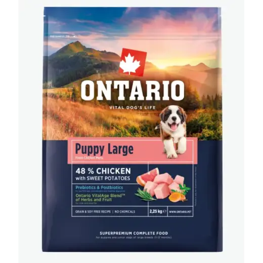 Barība kucēniem – Ontario Puppy and Junior Large, Chicken and Sweet Potatoes, 2,25 kg
