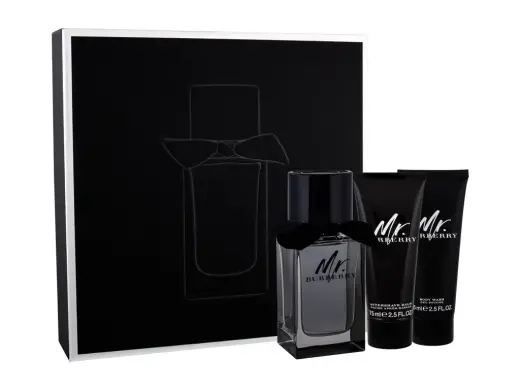 Burberry Mr. Burberry Eau de Toilette 100 ml