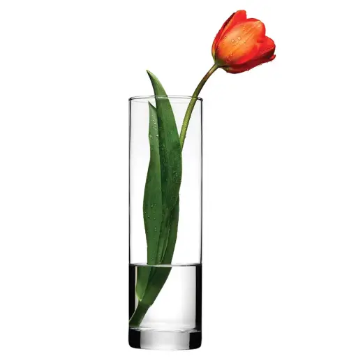 Vāze stikla 25.5cm Flora