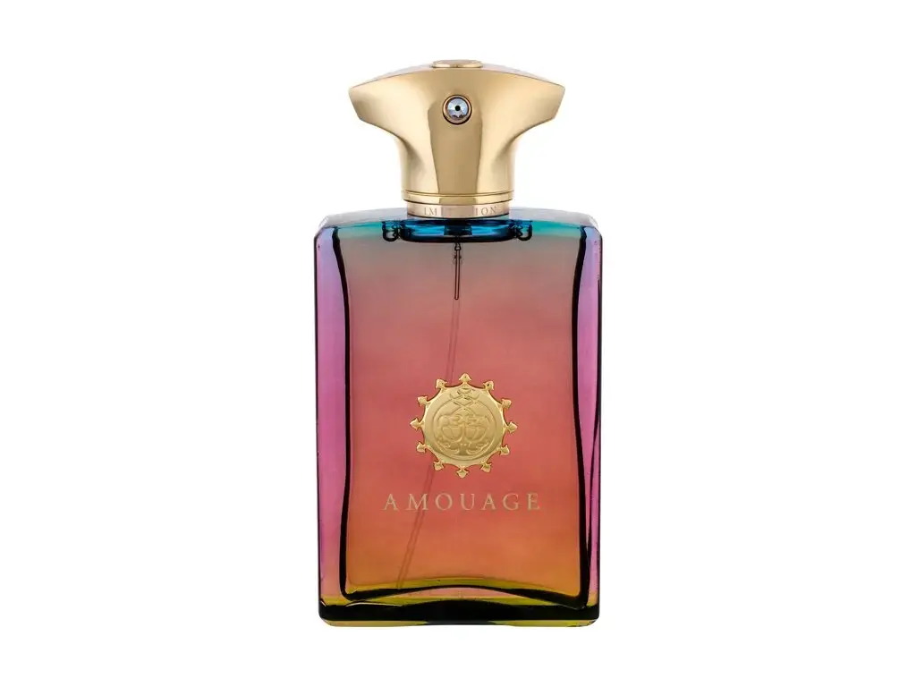 Amouage Imitation For Men Eau de Parfum 100 ml