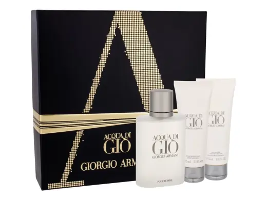 Giorgio Armani Acqua di Gio Pour Homme Eau de Toilette 100 ml