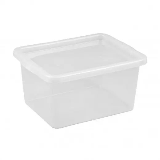 Box Basic 52L transparent with lid