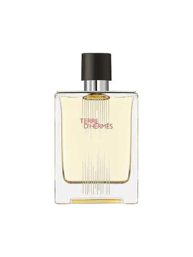 Hermes Terre d'Hermes Flacon H Limited Edition (EDT) Eau de Toilette for Men 100 ml