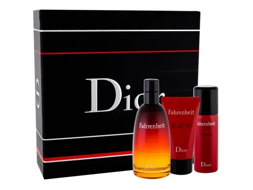 Dior Fahrenheit Eau de Toilette 100 ml