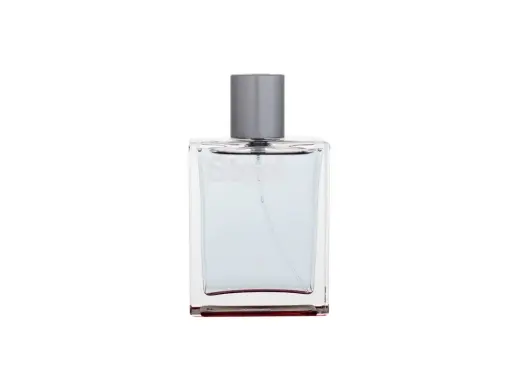 Victorinox Steel Eau de Toilette 100 ml