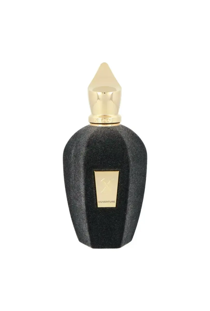 Tester Xerjoff Vibe Collection Ouverture Edp 100ml