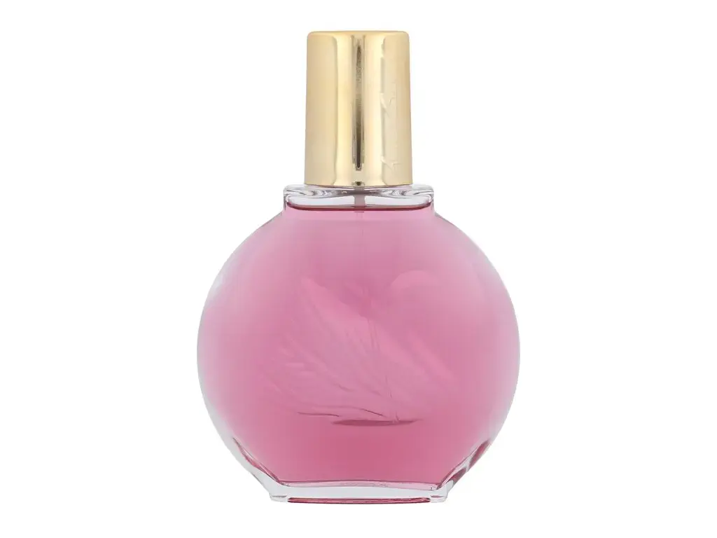 Gloria Vanderbilt Minuit a New York Eau de Parfum 100 ml