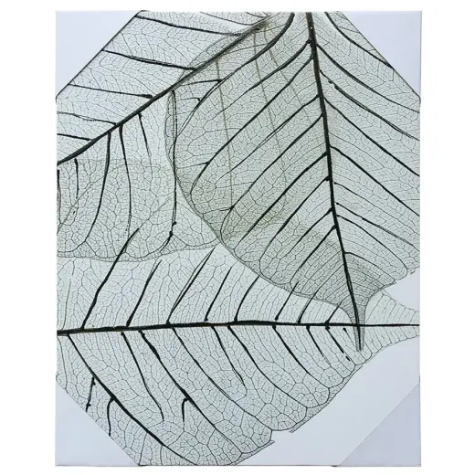 Reprodukcija 40x50cm