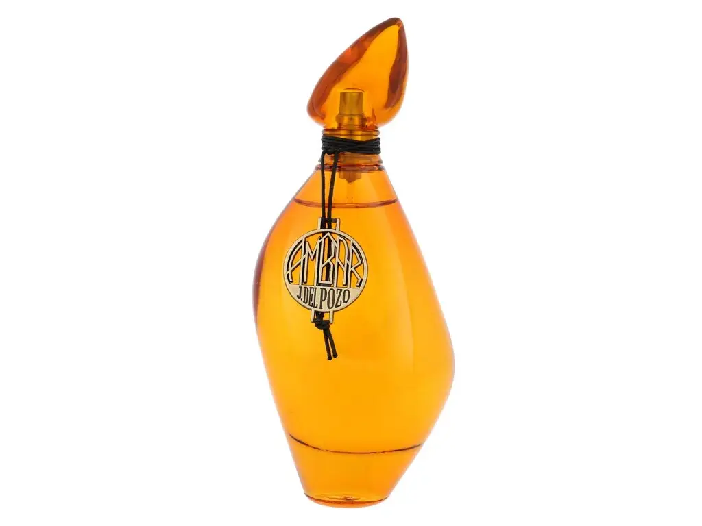 Jesus Del Pozo Ambar Eau de Toilette 100 ml