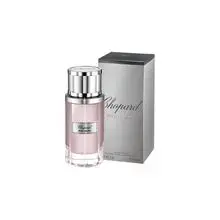 Musk Malaki EDP