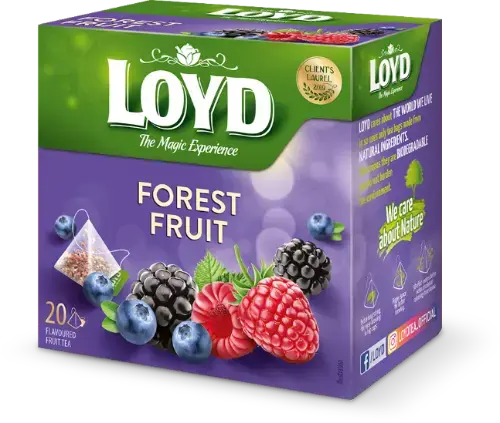 Augļu tēja LOYD Pyramids ar meža augļu garšu, 20x2 g