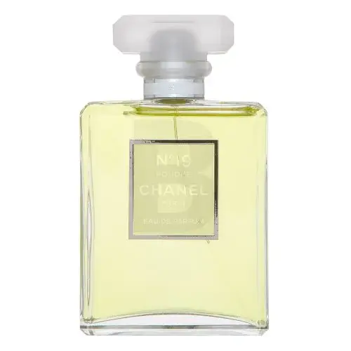 Chanel No.19 Poudré (EDP) parfimērijas ūdens sievietēm 100 ml