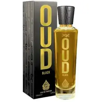 House of Perfumes Oud Black EDP 100ml