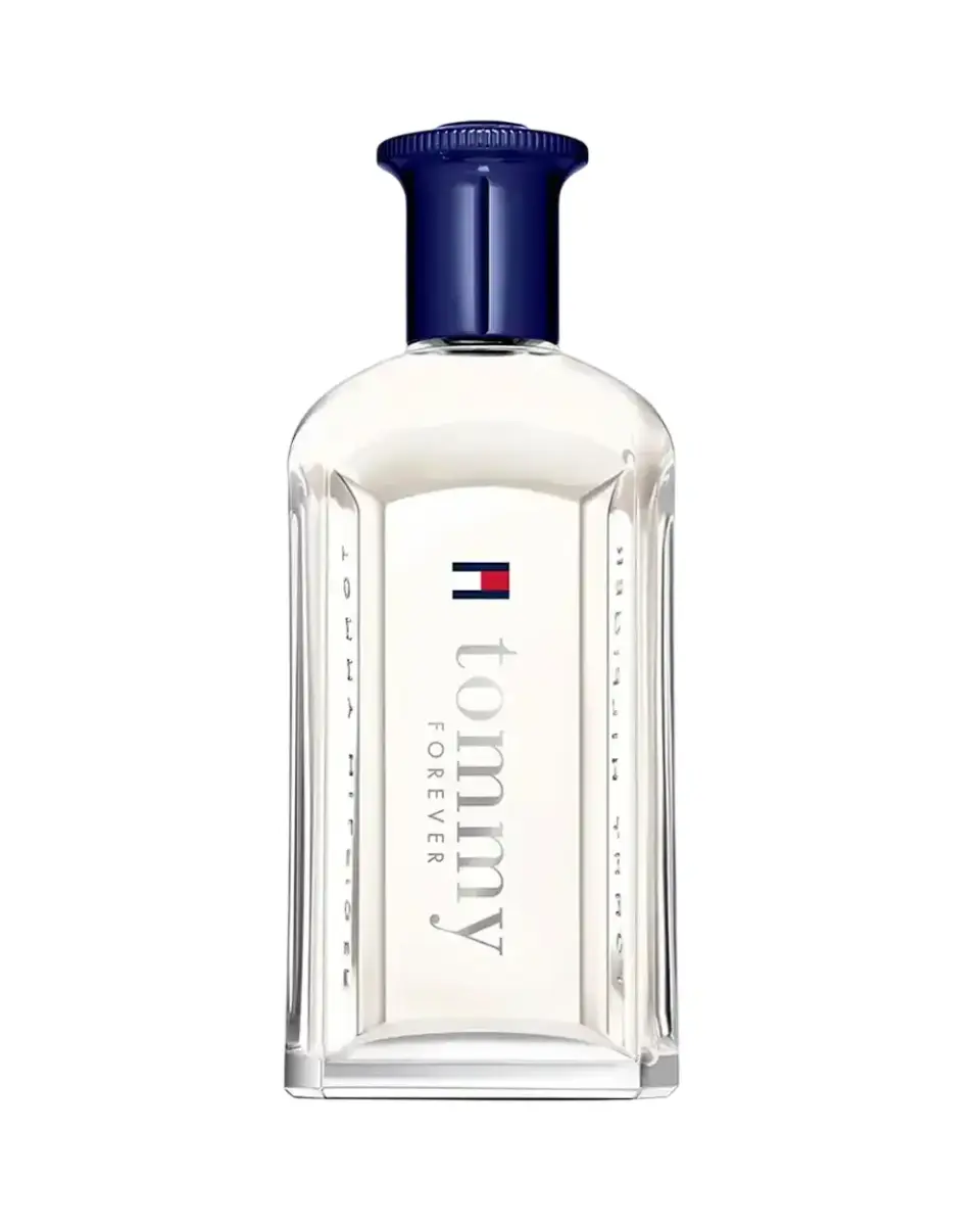 Tommy Hilfiger, Tommy Forever, Eau De Toilette, For Men, 100 ml *Tester