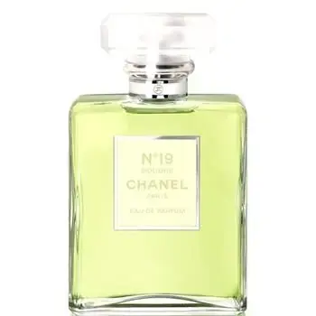 Chanel No. 19 Poudre Eau de Parfum 50 ml