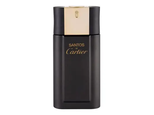 Cartier Santos De Cartier Concentré Eau de Toilette 100 ml