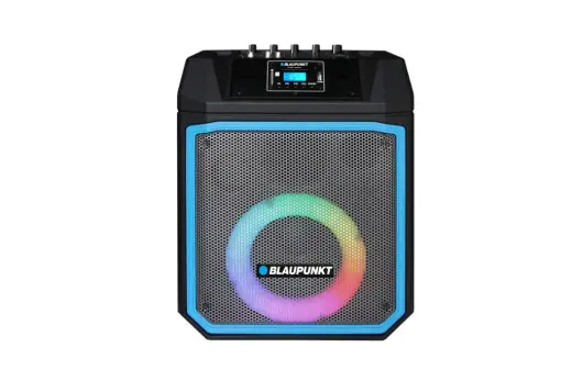 Blaupunkt power audio speaker MB06.2