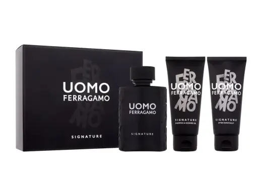 Salvatore Ferragamo Uomo Signature (EDP) parfüümvesi meestele 100 ml