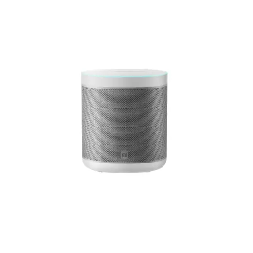 Xiaomi Mi smart speaker Google Assistant