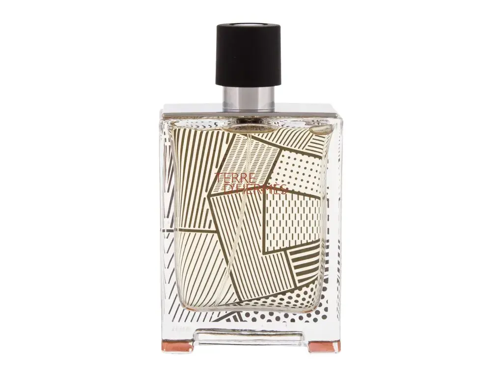 Hermes Terre d'Hermes Flacon H 2020 Eau de Toilette 100 ml