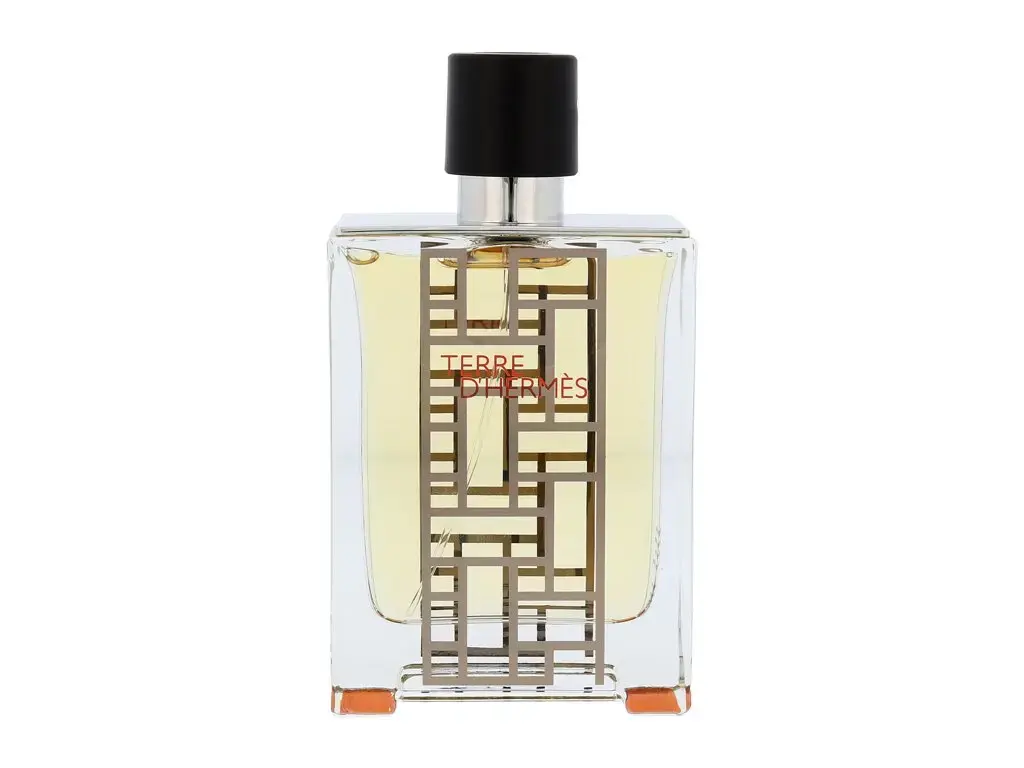 Hermes Terre D Hermes Flacon H 2013 Eau de Toilette 100 ml
