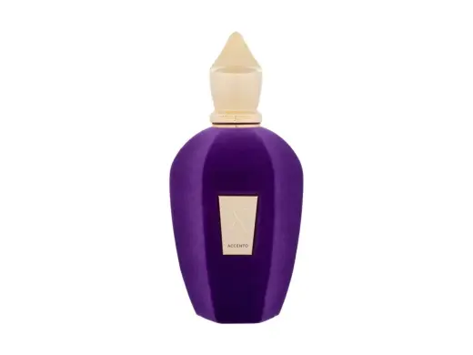 Xerjoff V Collection Accento Eau de Parfum 100 ml