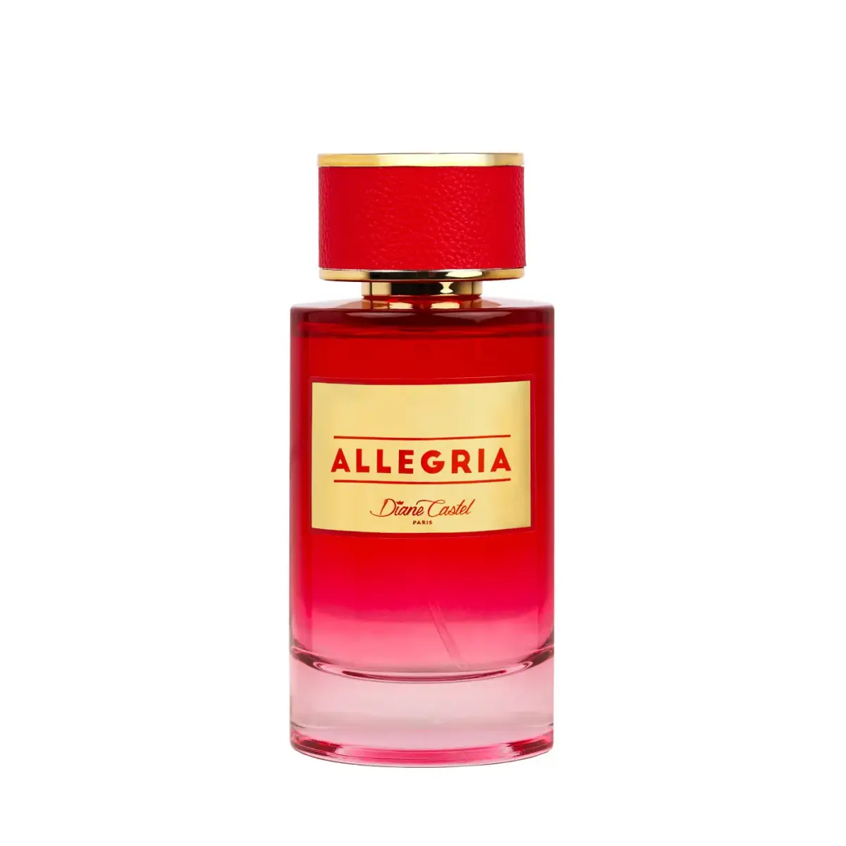 Diane Castel Allegria (EDP) Eau de Parfum for Women 100 ml
