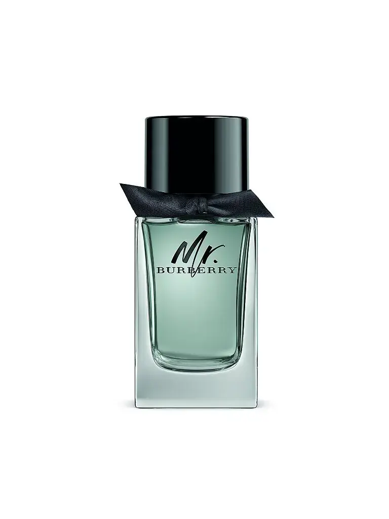 Burberry Mr. Burberry Eau De Toilette 100ml